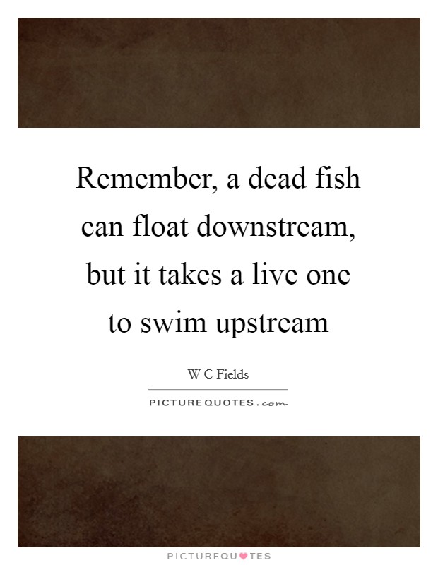 Remember, a dead fish can float downstream, but it takes a live one to swim upstream Picture Quote #1
