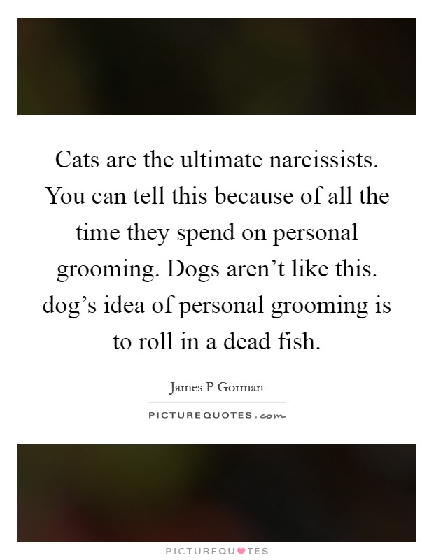 Cats are the ultimate narcissists. You can tell this because of all the time they spend on personal grooming. Dogs aren't like this. dog's idea of personal grooming is to roll in a dead fish. Picture Quote #1