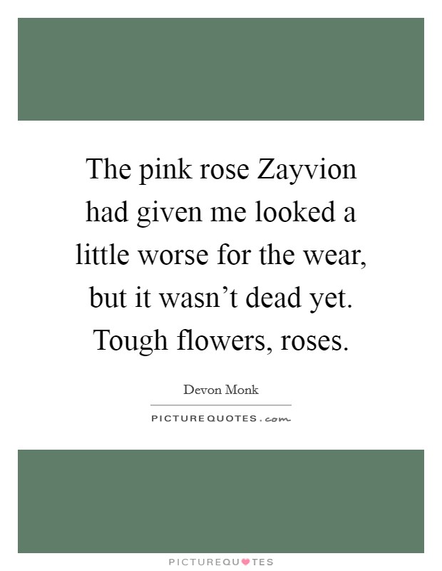 The pink rose Zayvion had given me looked a little worse for the wear, but it wasn't dead yet. Tough flowers, roses. Picture Quote #1