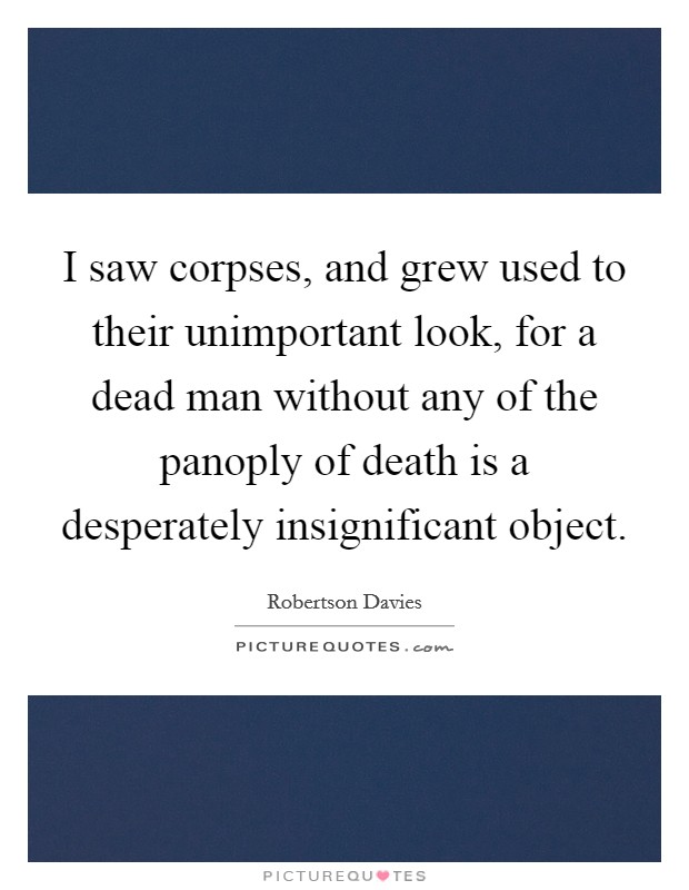 I saw corpses, and grew used to their unimportant look, for a dead man without any of the panoply of death is a desperately insignificant object. Picture Quote #1