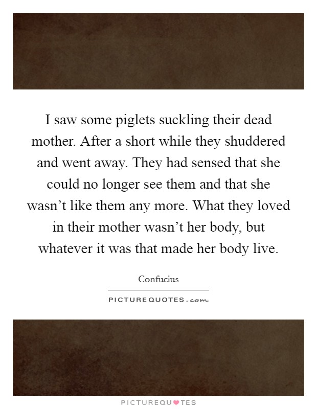 I saw some piglets suckling their dead mother. After a short while they shuddered and went away. They had sensed that she could no longer see them and that she wasn't like them any more. What they loved in their mother wasn't her body, but whatever it was that made her body live. Picture Quote #1