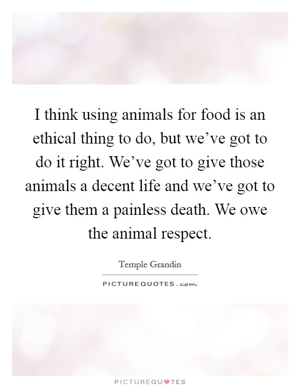 I think using animals for food is an ethical thing to do, but we've got to do it right. We've got to give those animals a decent life and we've got to give them a painless death. We owe the animal respect. Picture Quote #1