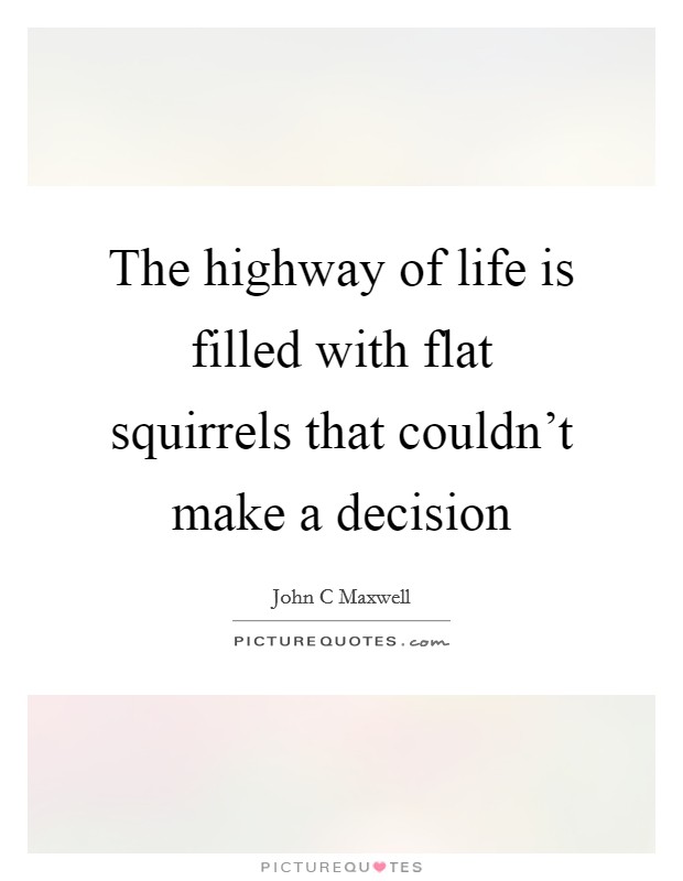 The highway of life is filled with flat squirrels that couldn't make a decision Picture Quote #1