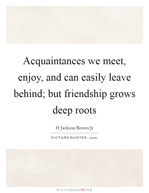 Acquaintances we meet, enjoy, and can easily leave behind; but friendship grows deep roots Picture Quote #1
