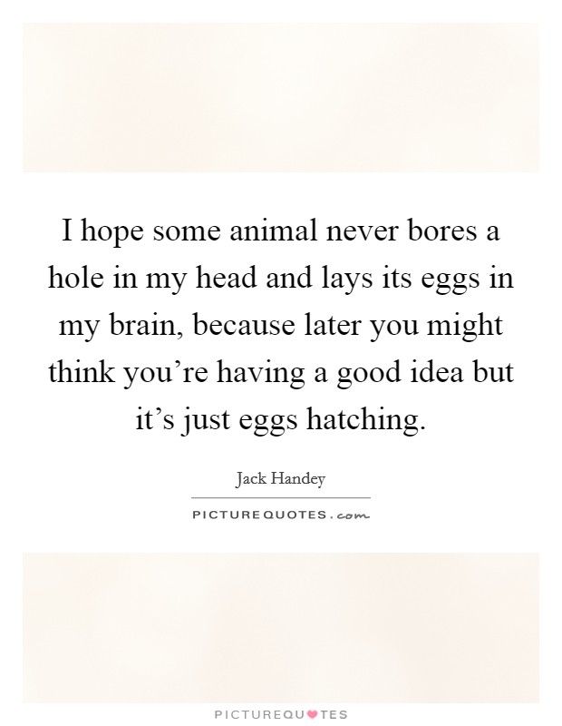 I hope some animal never bores a hole in my head and lays its eggs in my brain, because later you might think you're having a good idea but it's just eggs hatching. Picture Quote #1