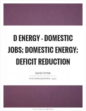 D energy - Domestic jobs; Domestic energy; Deficit reduction Picture Quote #1
