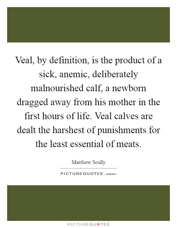 Veal, by definition, is the product of a sick, anemic, deliberately malnourished calf, a newborn dragged away from his mother in the first hours of life. Veal calves are dealt the harshest of punishments for the least essential of meats. Picture Quote #1