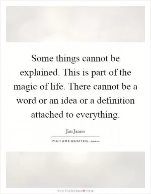 Some things cannot be explained. This is part of the magic of life. There cannot be a word or an idea or a definition attached to everything Picture Quote #1