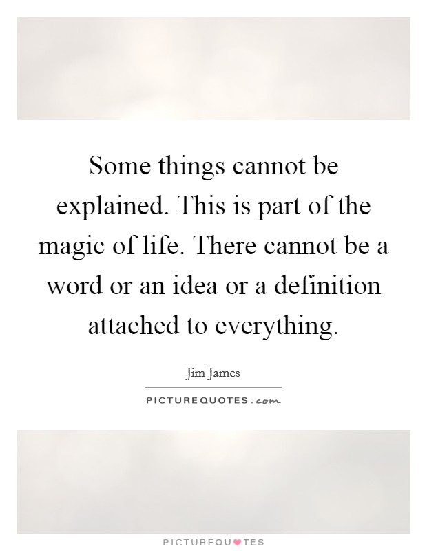 Some things cannot be explained. This is part of the magic of life. There cannot be a word or an idea or a definition attached to everything. Picture Quote #1