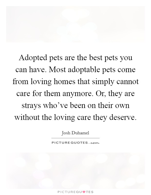 Adopted pets are the best pets you can have. Most adoptable pets come from loving homes that simply cannot care for them anymore. Or, they are strays who've been on their own without the loving care they deserve. Picture Quote #1