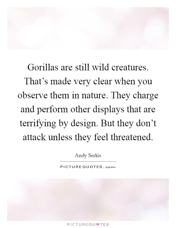 Gorillas are still wild creatures. That's made very clear when you observe them in nature. They charge and perform other displays that are terrifying by design. But they don't attack unless they feel threatened. Picture Quote #1