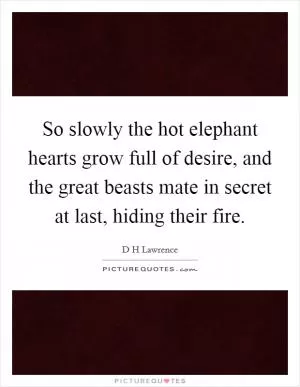 So slowly the hot elephant hearts grow full of desire, and the great beasts mate in secret at last, hiding their fire Picture Quote #1