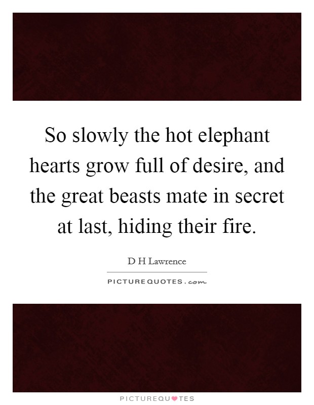 So slowly the hot elephant hearts grow full of desire, and the great beasts mate in secret at last, hiding their fire. Picture Quote #1