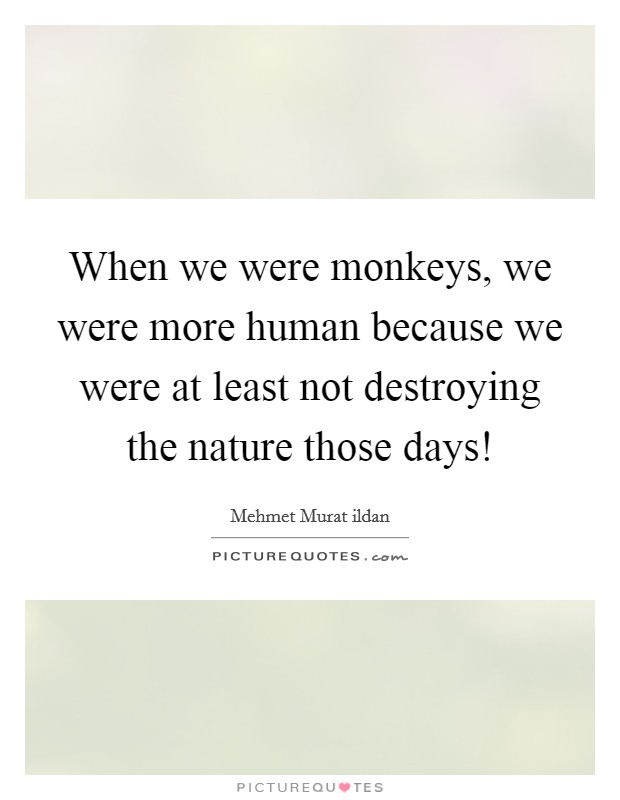 When we were monkeys, we were more human because we were at least not destroying the nature those days! Picture Quote #1