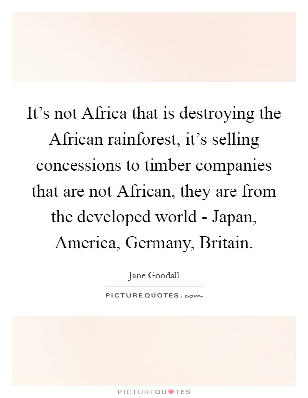 It's not Africa that is destroying the African rainforest, it's selling concessions to timber companies that are not African, they are from the developed world - Japan, America, Germany, Britain. Picture Quote #1