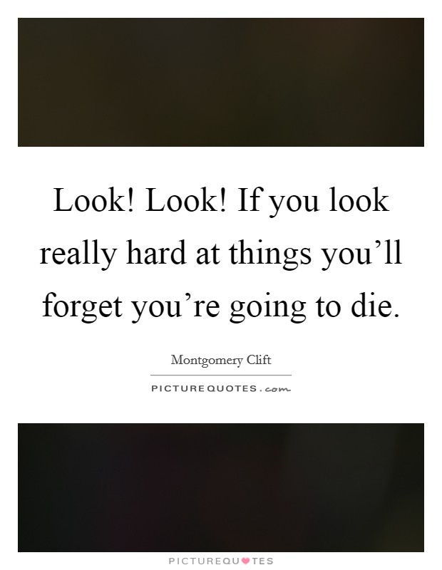 Look! Look! If you look really hard at things you'll forget you're going to die. Picture Quote #1