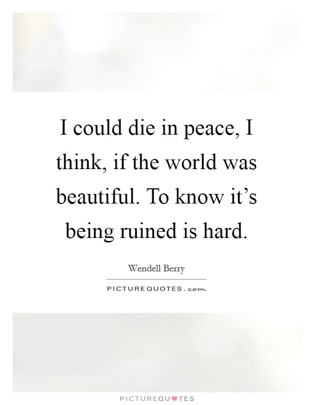 I could die in peace, I think, if the world was beautiful. To know it's being ruined is hard. Picture Quote #1