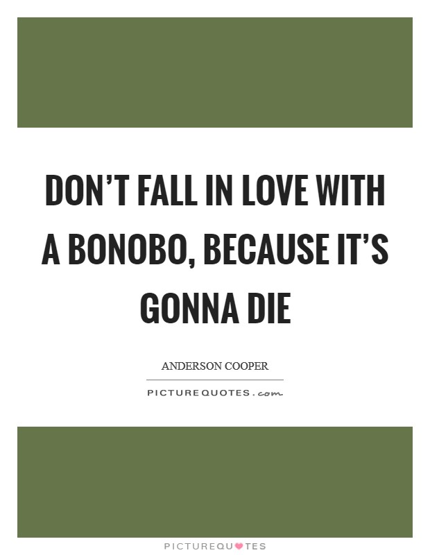 Don't fall in love with a bonobo, because it's gonna die Picture Quote #1