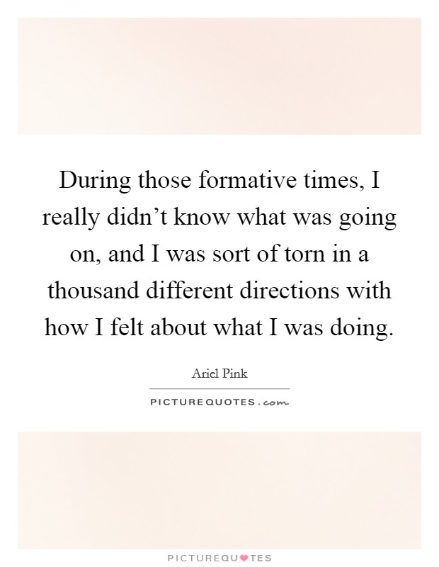 During those formative times, I really didn't know what was going on, and I was sort of torn in a thousand different directions with how I felt about what I was doing. Picture Quote #1