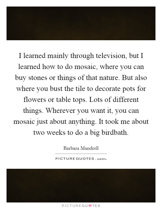 I learned mainly through television, but I learned how to do mosaic, where you can buy stones or things of that nature. But also where you bust the tile to decorate pots for flowers or table tops. Lots of different things. Wherever you want it, you can mosaic just about anything. It took me about two weeks to do a big birdbath. Picture Quote #1