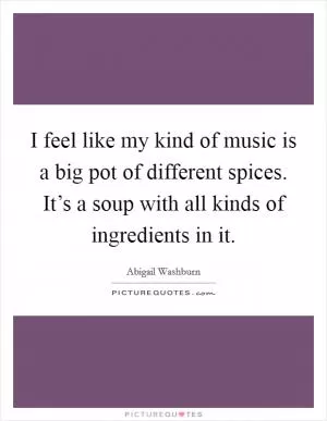 I feel like my kind of music is a big pot of different spices. It’s a soup with all kinds of ingredients in it Picture Quote #1