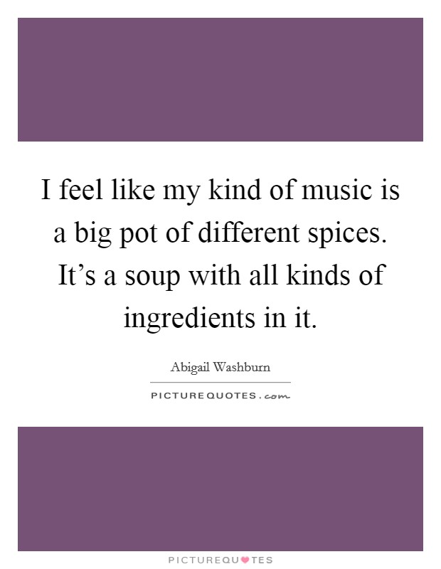 I feel like my kind of music is a big pot of different spices. It's a soup with all kinds of ingredients in it. Picture Quote #1