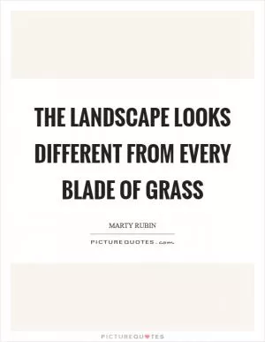 The landscape looks different from every blade of grass Picture Quote #1