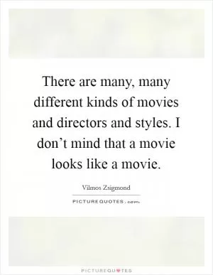 There are many, many different kinds of movies and directors and styles. I don’t mind that a movie looks like a movie Picture Quote #1