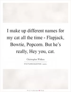I make up different names for my cat all the time - Flapjack, Bowtie, Popcorn. But he’s really, Hey you, cat Picture Quote #1