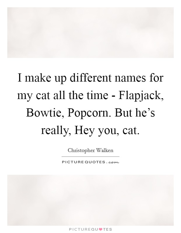 I make up different names for my cat all the time - Flapjack, Bowtie, Popcorn. But he's really, Hey you, cat. Picture Quote #1
