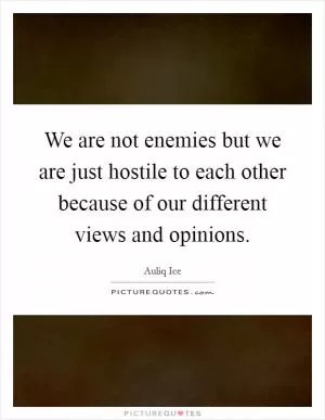 We are not enemies but we are just hostile to each other because of our different views and opinions Picture Quote #1