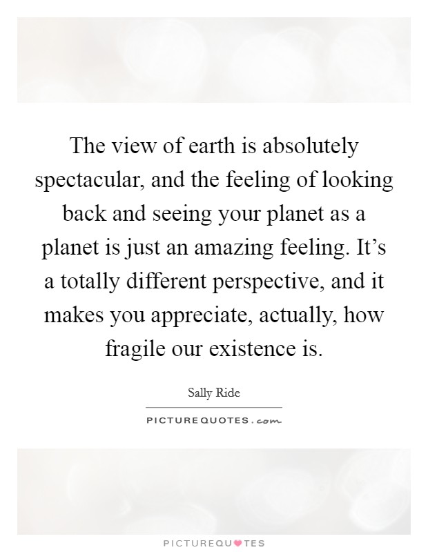 The view of earth is absolutely spectacular, and the feeling of looking back and seeing your planet as a planet is just an amazing feeling. It's a totally different perspective, and it makes you appreciate, actually, how fragile our existence is. Picture Quote #1