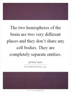 The two hemispheres of the brain are two very different places and they don’t share any cell bodies. They are completely separate entities Picture Quote #1