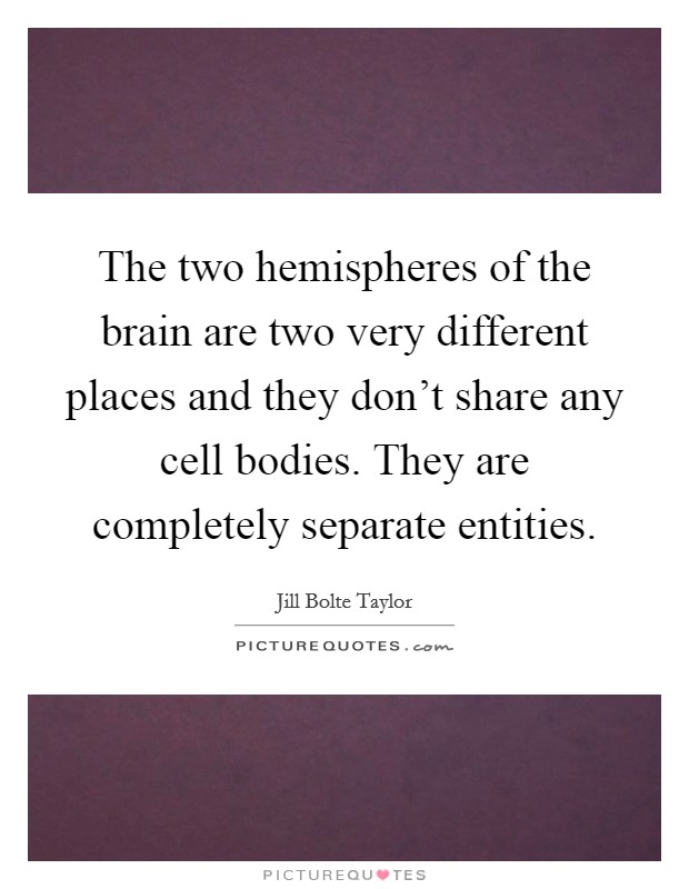 The two hemispheres of the brain are two very different places and they don't share any cell bodies. They are completely separate entities. Picture Quote #1