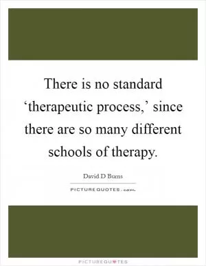There is no standard ‘therapeutic process,’ since there are so many different schools of therapy Picture Quote #1