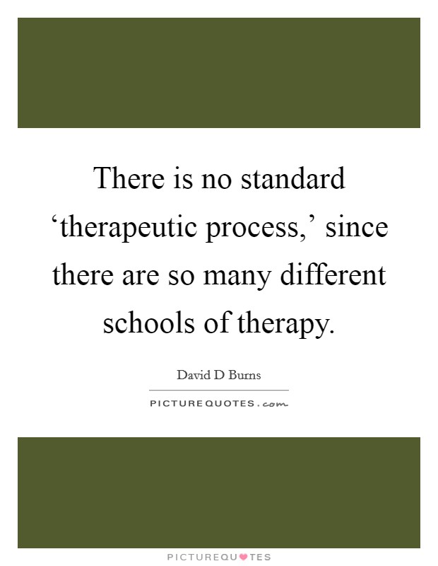 There is no standard ‘therapeutic process,' since there are so many different schools of therapy. Picture Quote #1