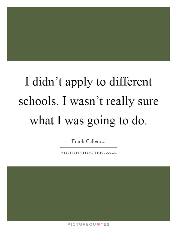 I didn't apply to different schools. I wasn't really sure what I was going to do. Picture Quote #1