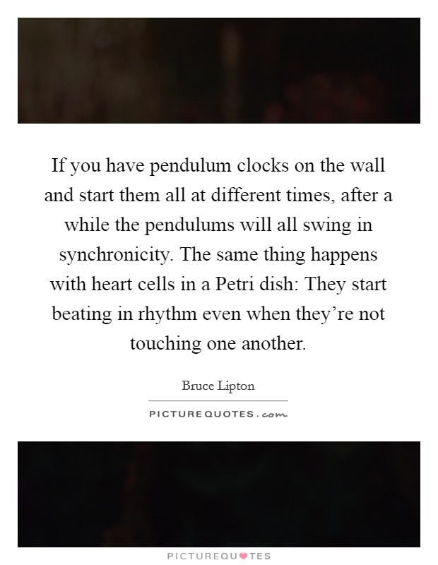 If you have pendulum clocks on the wall and start them all at different times, after a while the pendulums will all swing in synchronicity. The same thing happens with heart cells in a Petri dish: They start beating in rhythm even when they're not touching one another. Picture Quote #1