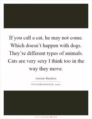 If you call a cat, he may not come. Which doesn’t happen with dogs. They’re different types of animals. Cats are very sexy I think too in the way they move Picture Quote #1