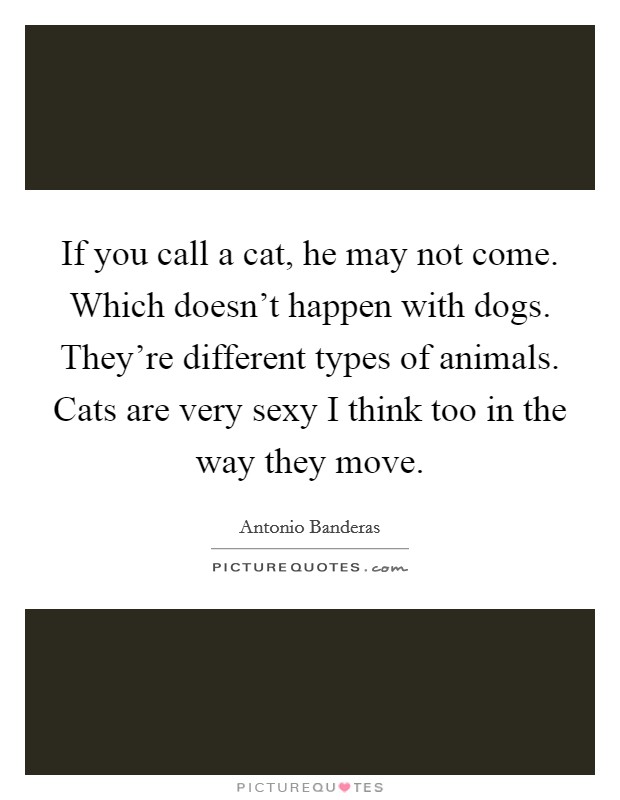 If you call a cat, he may not come. Which doesn't happen with dogs. They're different types of animals. Cats are very sexy I think too in the way they move. Picture Quote #1