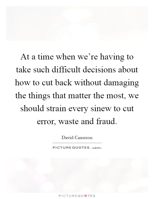 At a time when we're having to take such difficult decisions about how to cut back without damaging the things that matter the most, we should strain every sinew to cut error, waste and fraud. Picture Quote #1