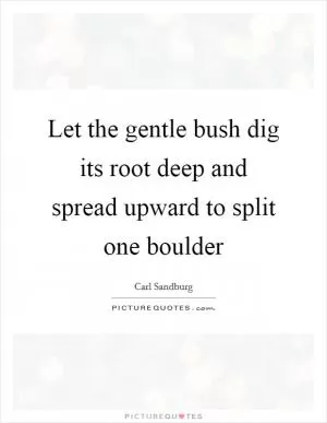Let the gentle bush dig its root deep and spread upward to split one boulder Picture Quote #1
