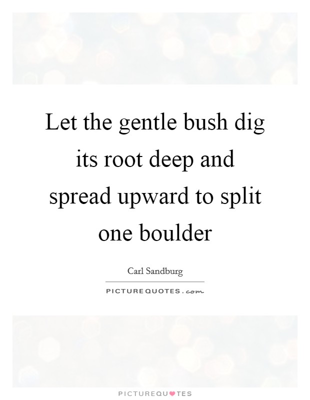 Let the gentle bush dig its root deep and spread upward to split one boulder Picture Quote #1