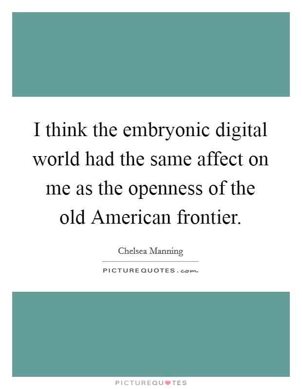 I think the embryonic digital world had the same affect on me as the openness of the old American frontier. Picture Quote #1