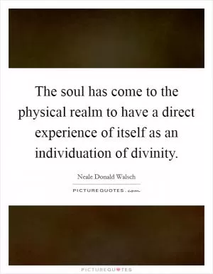 The soul has come to the physical realm to have a direct experience of itself as an individuation of divinity Picture Quote #1