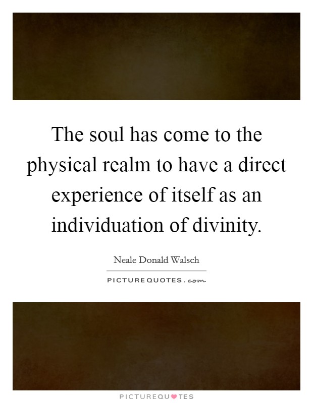 The soul has come to the physical realm to have a direct experience of itself as an individuation of divinity. Picture Quote #1