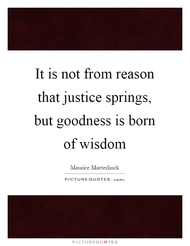 It is not from reason that justice springs, but goodness is born of wisdom Picture Quote #1