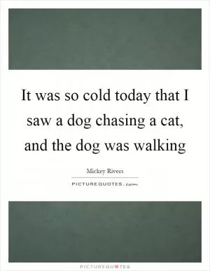 It was so cold today that I saw a dog chasing a cat, and the dog was walking Picture Quote #1