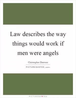 Law describes the way things would work if men were angels Picture Quote #1