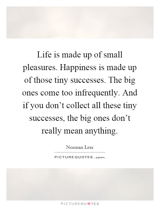 Life is made up of small pleasures. Happiness is made up of those tiny successes. The big ones come too infrequently. And if you don't collect all these tiny successes, the big ones don't really mean anything Picture Quote #1